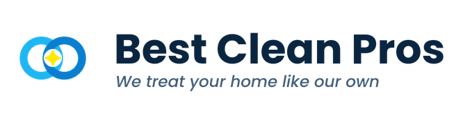 Best Clean Pros website